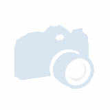 Business double for single use with private facilities (bath and shower)